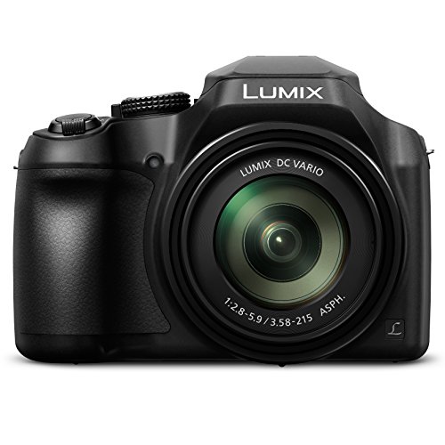 Panasonic LUMIX FZ80 4K Digital Camera,...